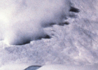 185b.jpg